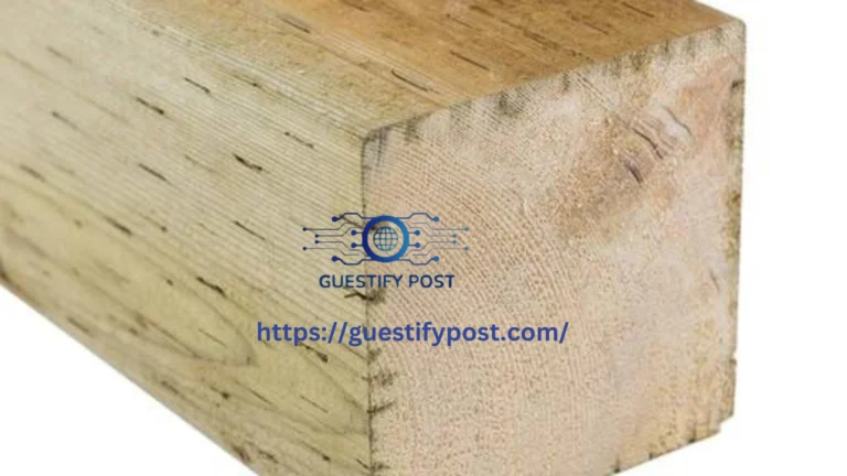 Pressure Treated Plywood: Benefits, Uses & Maintenance Guide